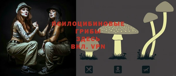 ГАЛЛЮЦИНОГЕННЫЕ ГРИБЫ Горно-Алтайск