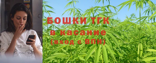 хмурый Горняк