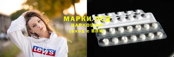 ГАЛЛЮЦИНОГЕННЫЕ ГРИБЫ Горно-Алтайск