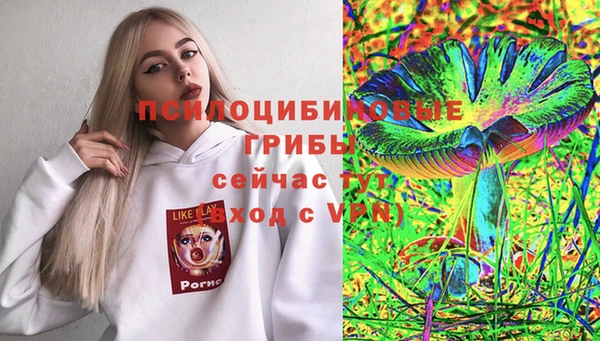 хмурый Горняк