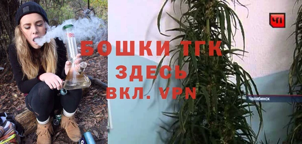 хмурый Горняк