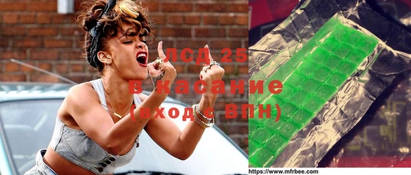 ГАЛЛЮЦИНОГЕННЫЕ ГРИБЫ Горно-Алтайск