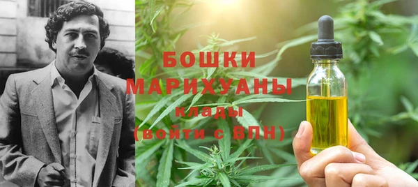 хмурый Горняк
