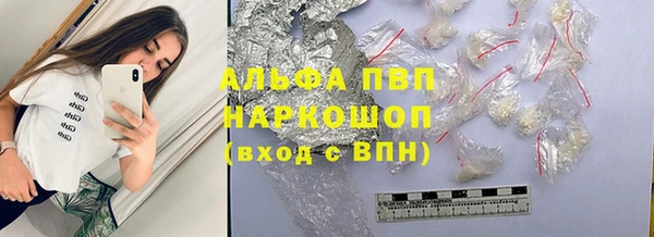 хмурый Горняк